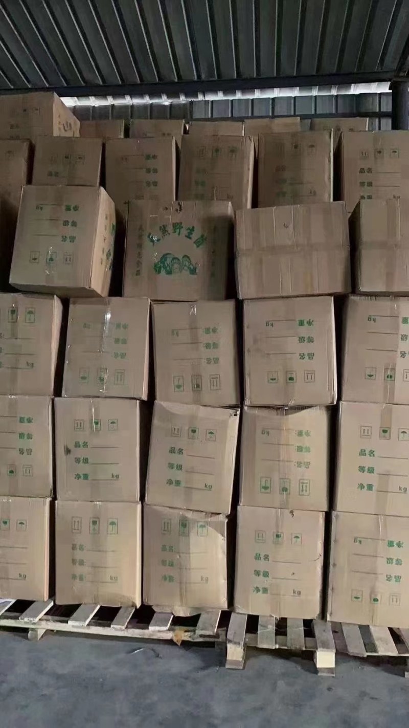 茶树菇金针菇优质干货茶树菇一手货源批发全国发货