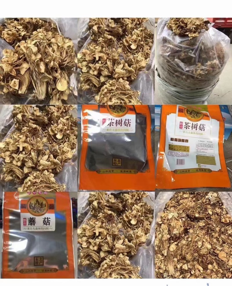 茶树菇金针菇优质干货茶树菇一手货源批发全国发货
