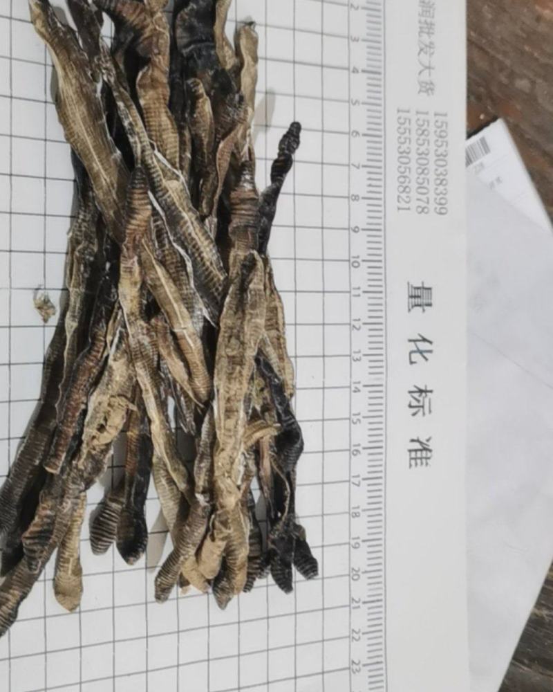 地龙泽润中药各种规格批发供应地龙精品半开