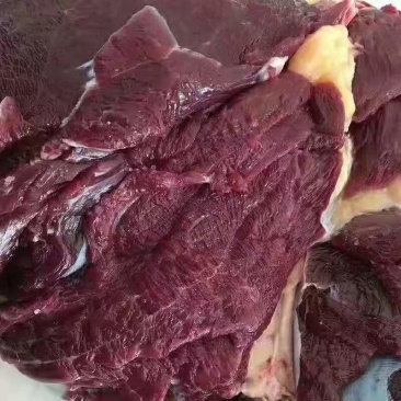 牦牛肉