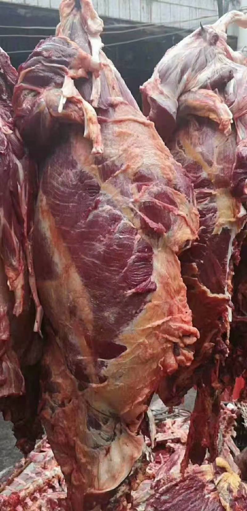 牦牛肉