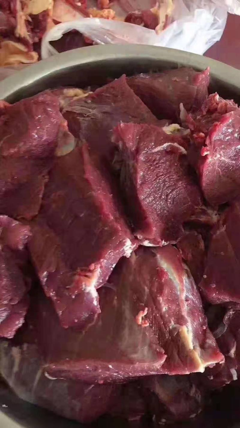 牦牛肉