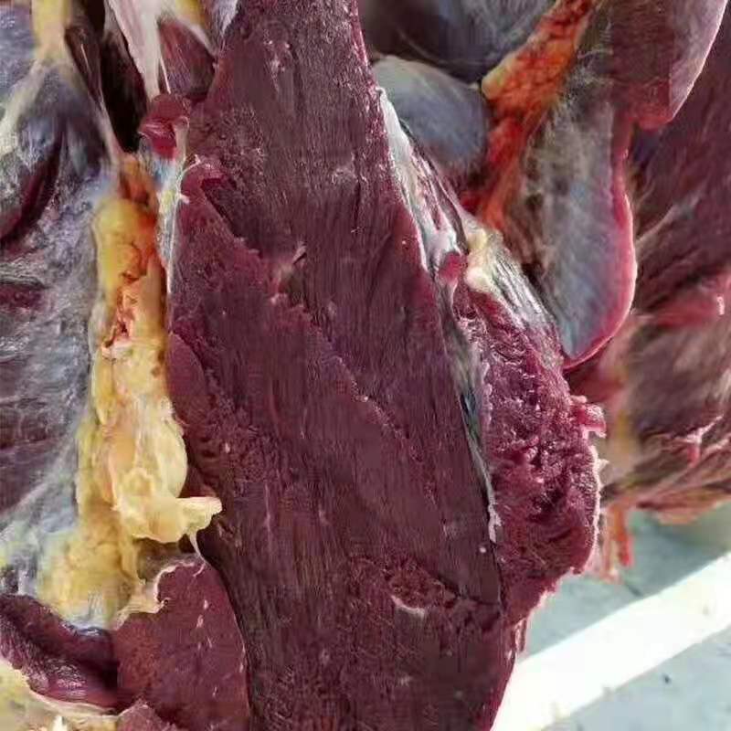牦牛肉