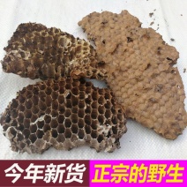 蜂房马蜂窝露蜂房煮水牙疼中药材500g