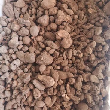 大西南三叶青金线吊葫芦统个切片量大从优