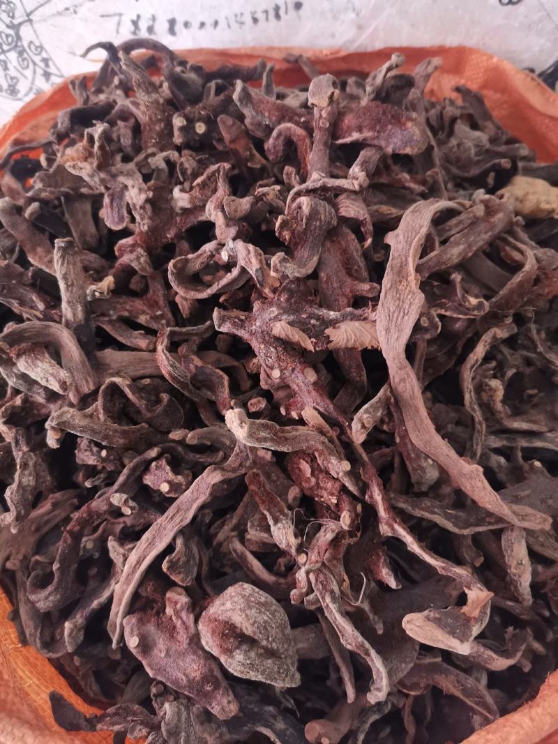 优质湖南贵州骨碎补去毛烘干量大从优规格齐全