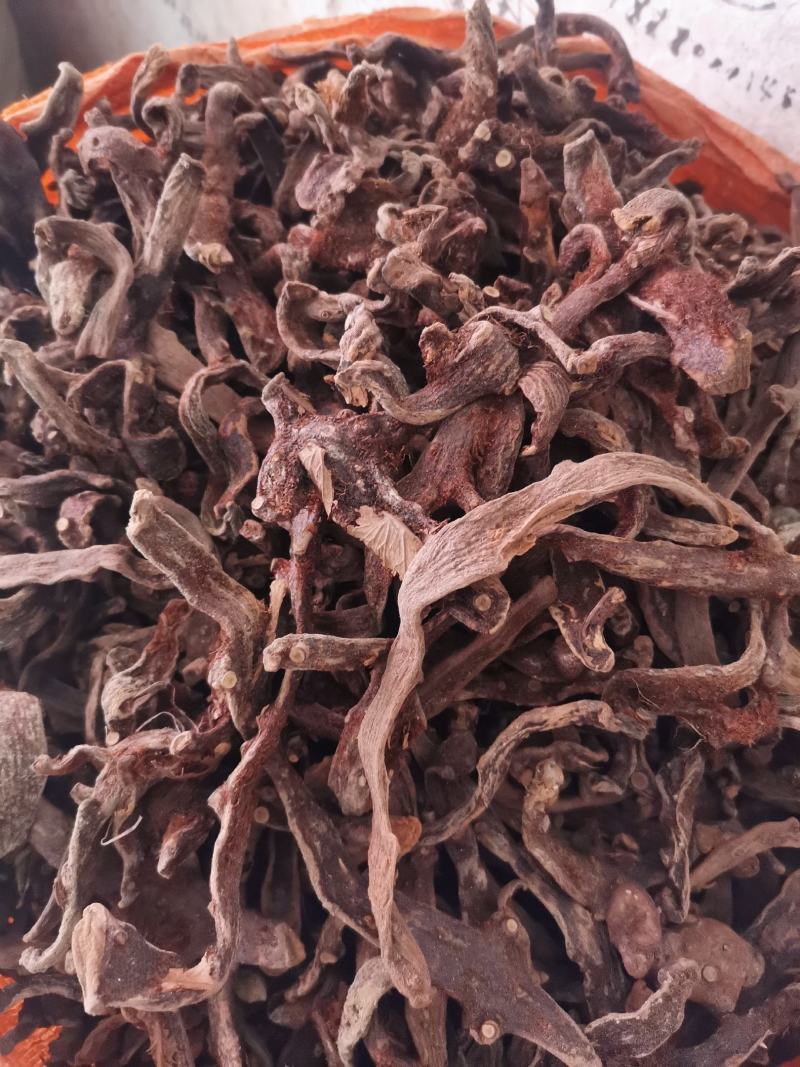 优质湖南贵州骨碎补去毛烘干量大从优规格齐全