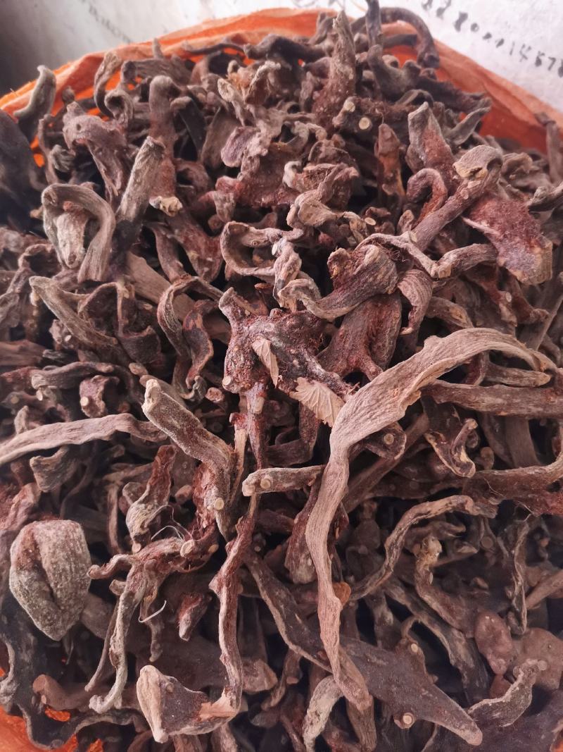 优质湖南贵州骨碎补去毛烘干量大从优规格齐全