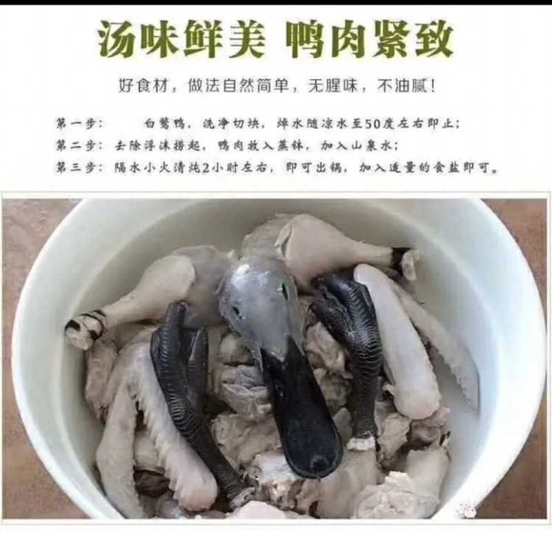 正宗连城白鹭鸭是全国唯一真正认证有药食生态硒的鸭子