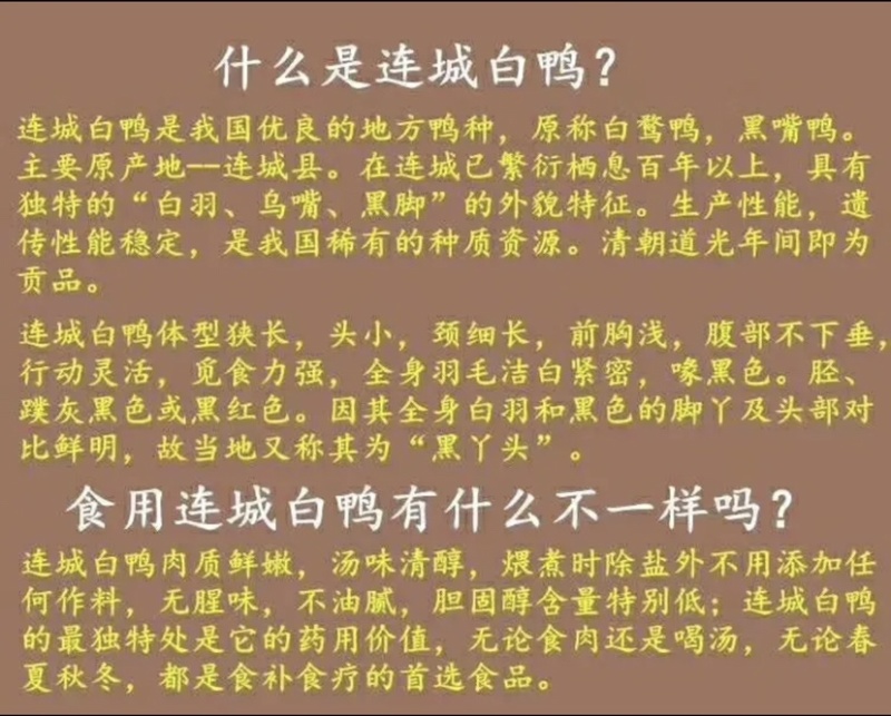 正宗连城白鹭鸭是全国唯一真正认证有药食生态硒的鸭子