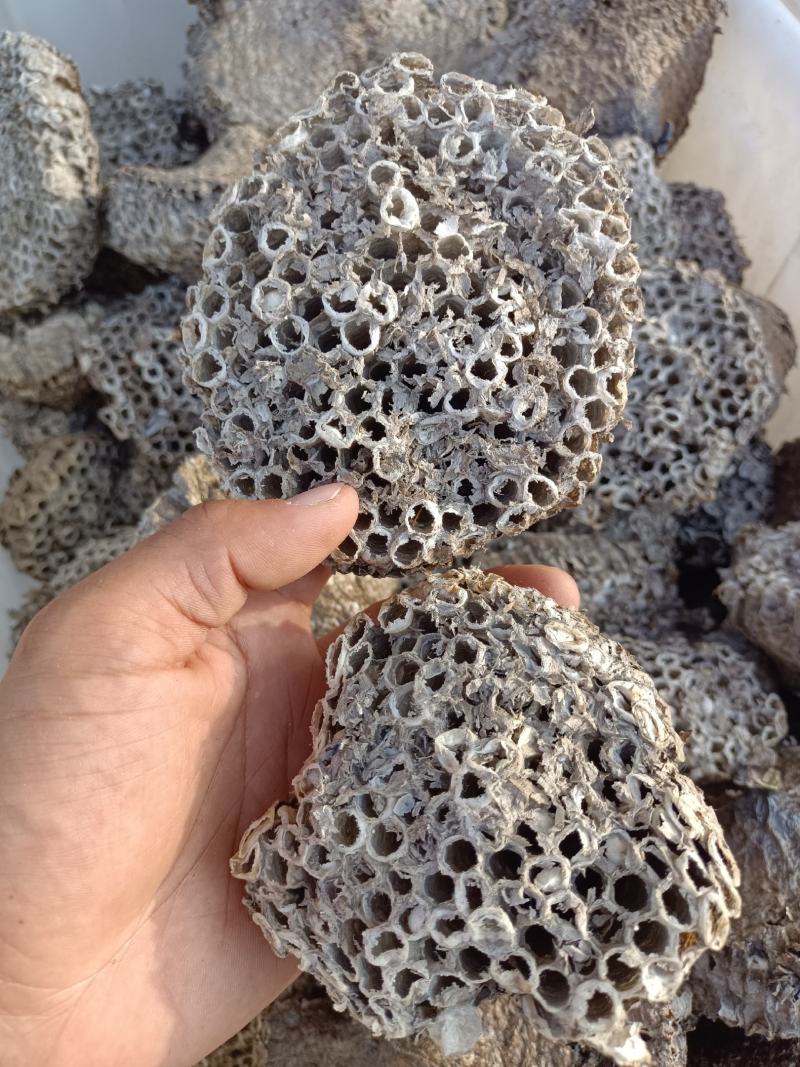 正宗家蜂房蜂窝中药材蜂房马蜂窝500克包邮