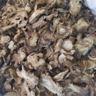 优质湖北独活无硫过筛无杂净货量大从优