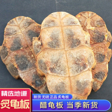 中药材炙龟板醋制龟板精选炙龟板正宗整个带皮醋炙龟板