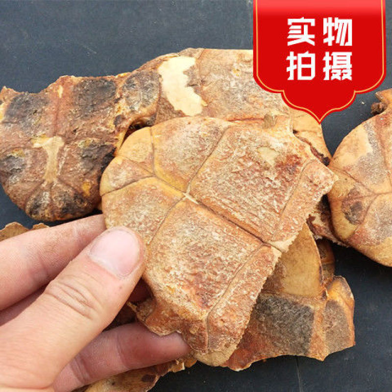 中药材炙龟板醋制龟板精选炙龟板正宗整个带皮醋炙龟板