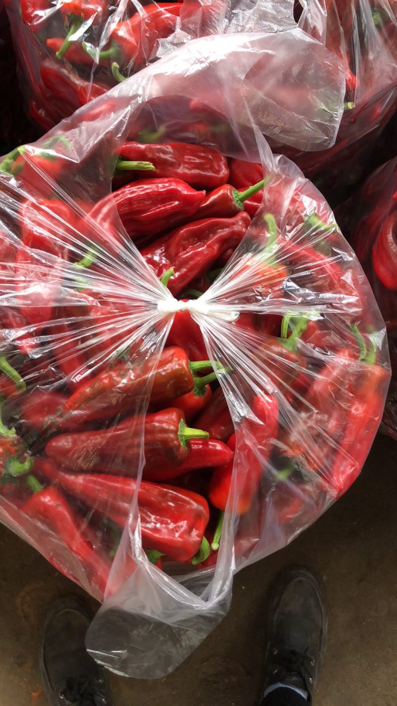 【实力】精品优质红辣椒色泽鲜艳辣度高质量好欢迎咨询