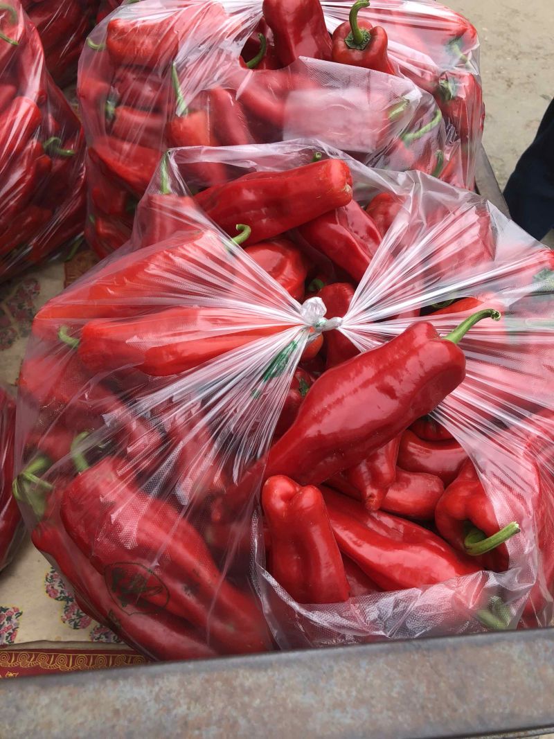 【实力】精品优质红辣椒色泽鲜艳辣度高质量好欢迎咨询