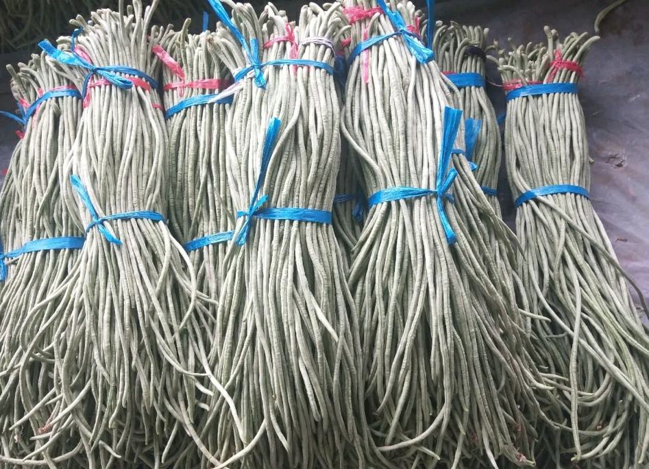 蒸白不老豆角成品图,豆角洁白均匀,整齐摆盘,色泽诱人 蒸白不老豆角成品图