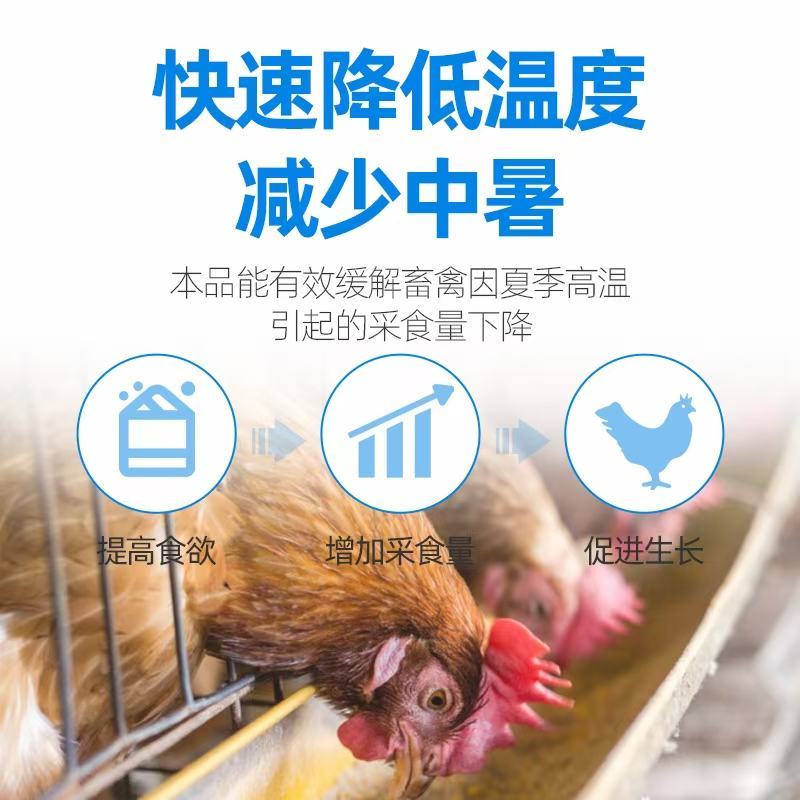 家禽家畜夏天炎热怕中暑怎么办？用凉夏vc可拌料可饮水