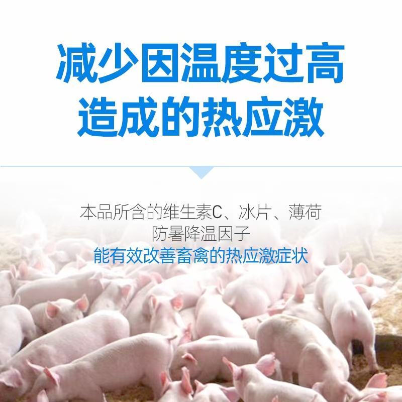 家禽家畜夏天炎热怕中暑怎么办？用凉夏vc可拌料可饮水