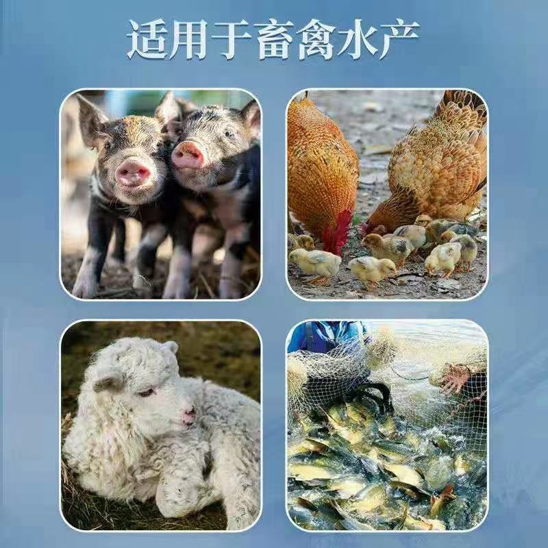 家禽家畜夏天炎热怕中暑怎么办？用凉夏vc可拌料可饮水