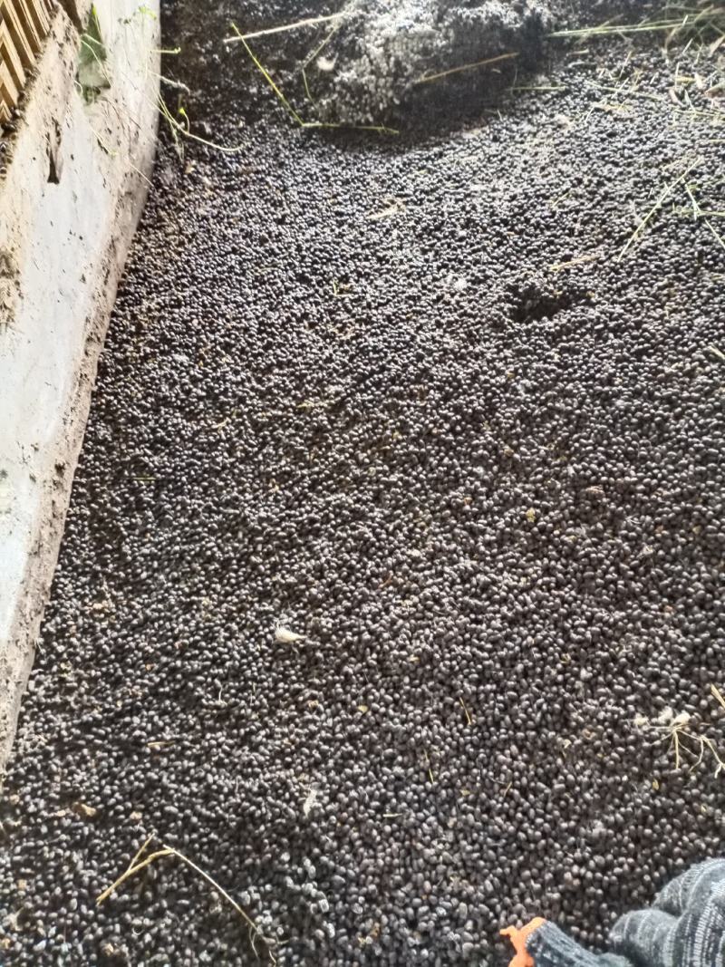 纯发酵羊粪！厂家直销纯羊粪！！！厂家直销羊粪
