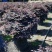 漳州市漳浦县汇景轩园林大量供应精品红花继木球