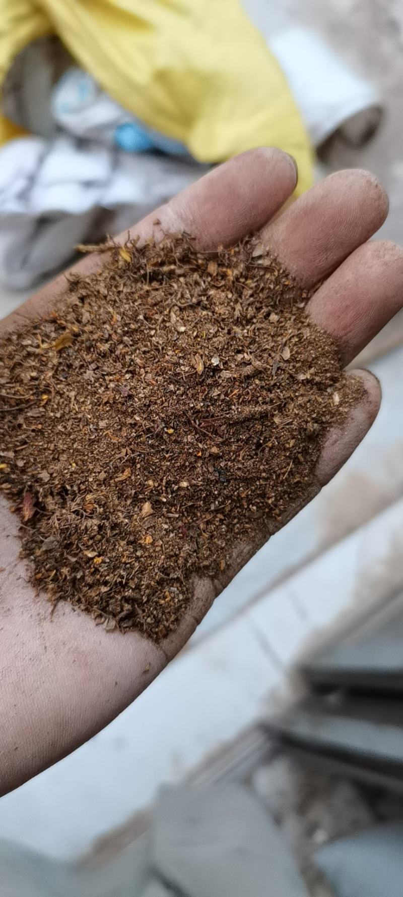 黄连刀沫子片沫批发零售诚信经营量大从优支持混批物流发货