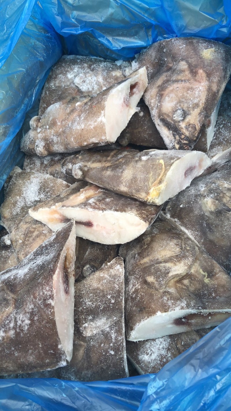 深海蝶鱼头鸦片鱼头海鱼头带保护冰鲽鱼头比目鱼鱼头鸦片鱼