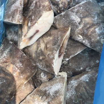 深海蝶鱼头鸦片鱼头海鱼头带保护冰鲽鱼头比目鱼鱼头鸦片鱼
