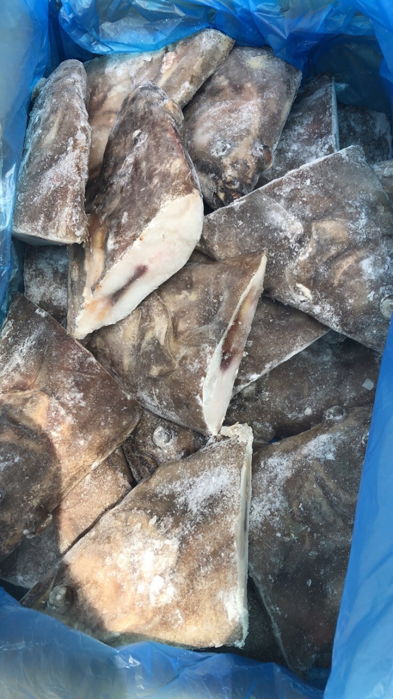深海蝶鱼头鸦片鱼头海鱼头带保护冰鲽鱼头比目鱼鱼头鸦片鱼
