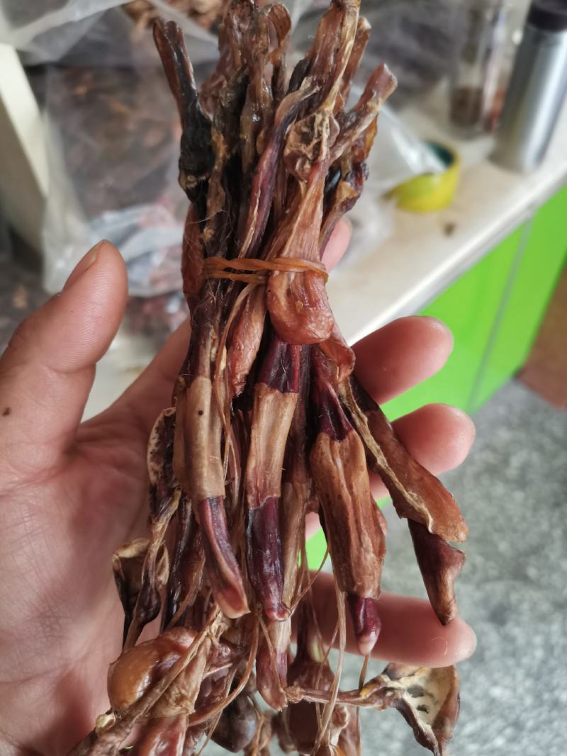 狗鞭全狗鞭全狗肾无硫无添加泡酒料包邮
