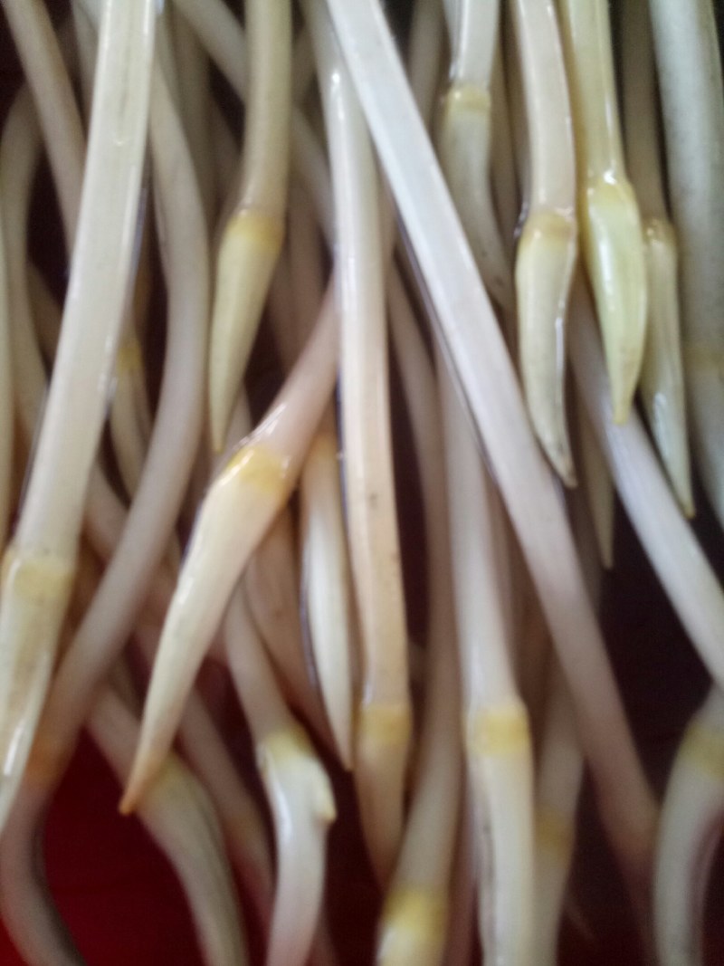 香甜笔尖藕丝，藕带，菜藕丝，开始上市
