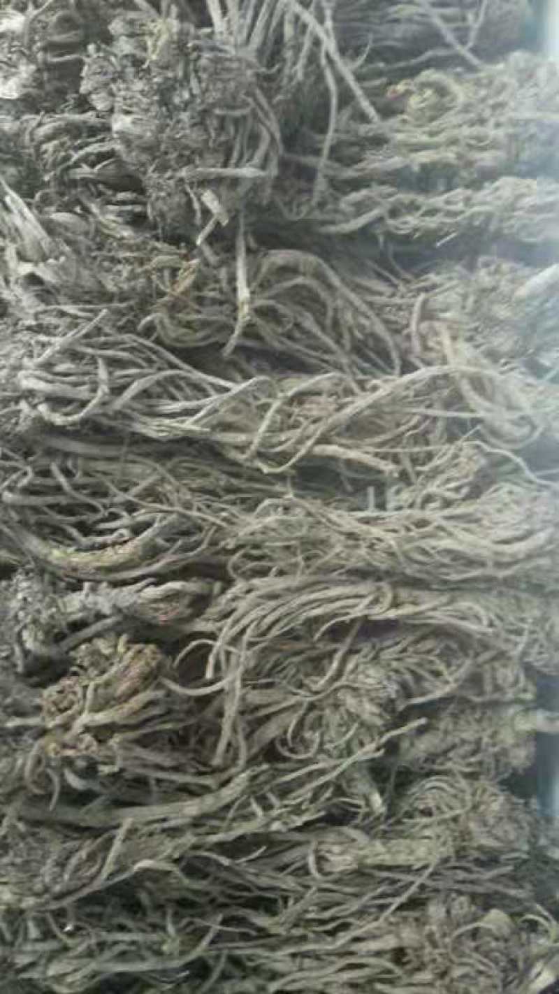 甘肃自产自销羌活，有需要的老板一定质量保证，价格优惠。