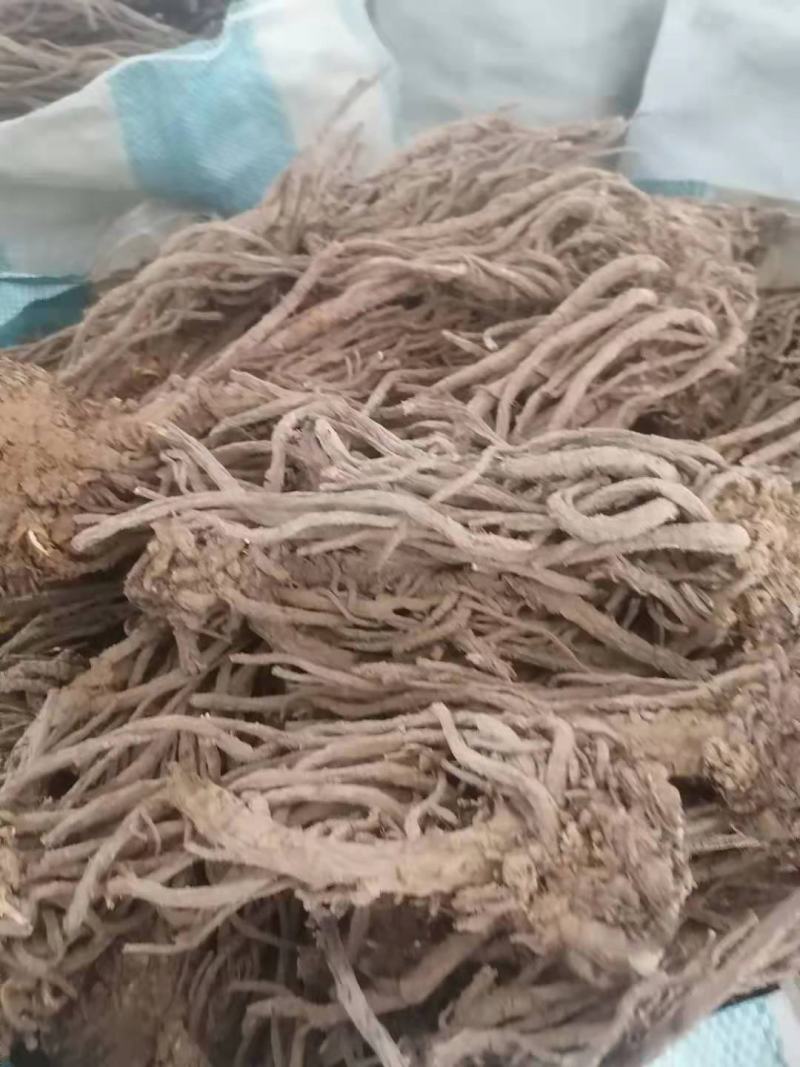 甘肃自产自销羌活，有需要的老板一定质量保证，价格优惠。