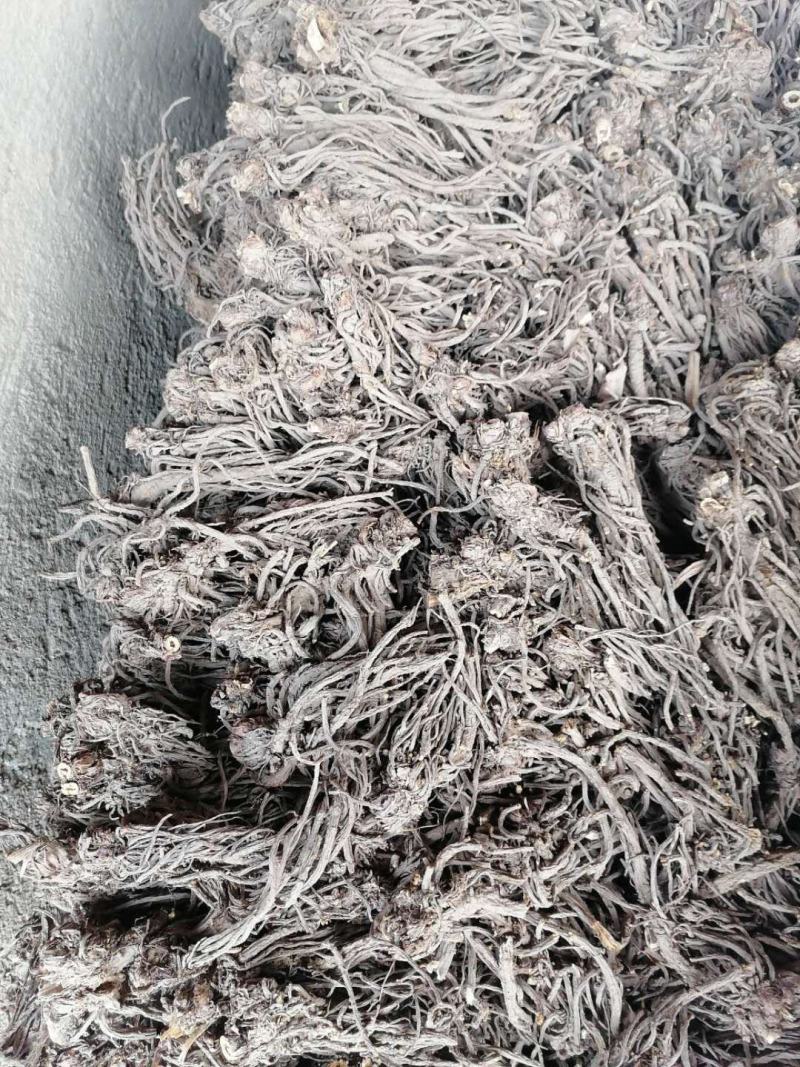 甘肃自产自销羌活，有需要的老板一定质量保证，价格优惠。