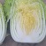 大白菜大量上市有需要联系