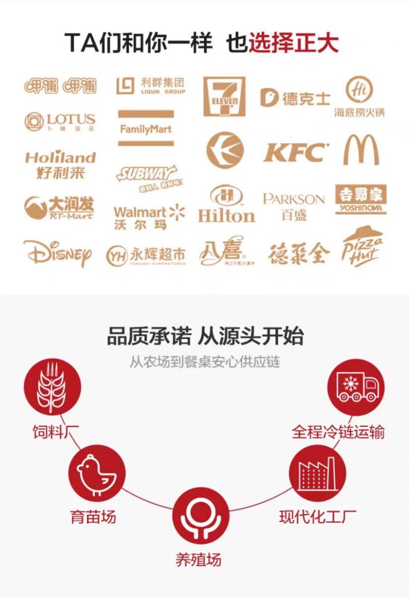 正大板冻鸡大胸/原料