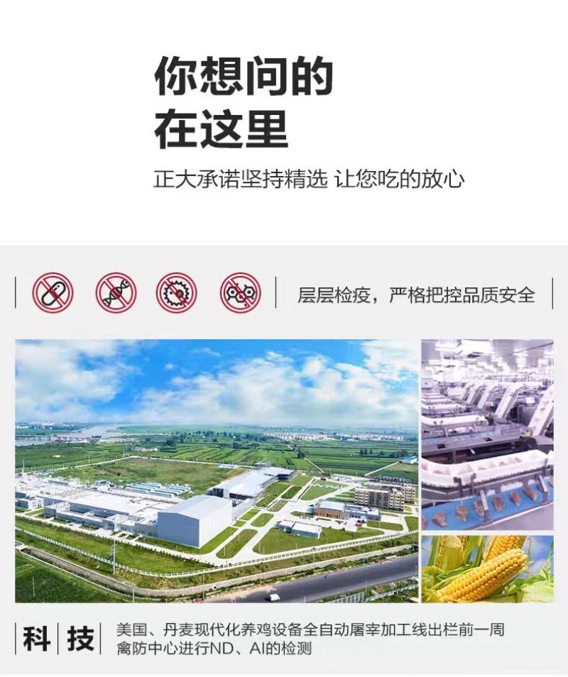 正大日式唐扬