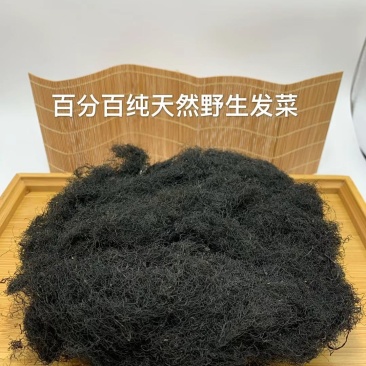 宁夏五宝之一黑宝（发菜
