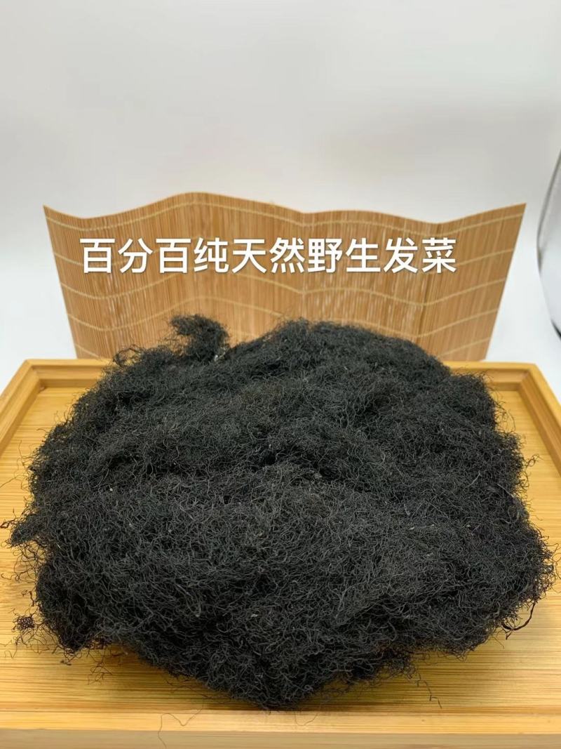 宁夏五宝之一黑宝（发菜