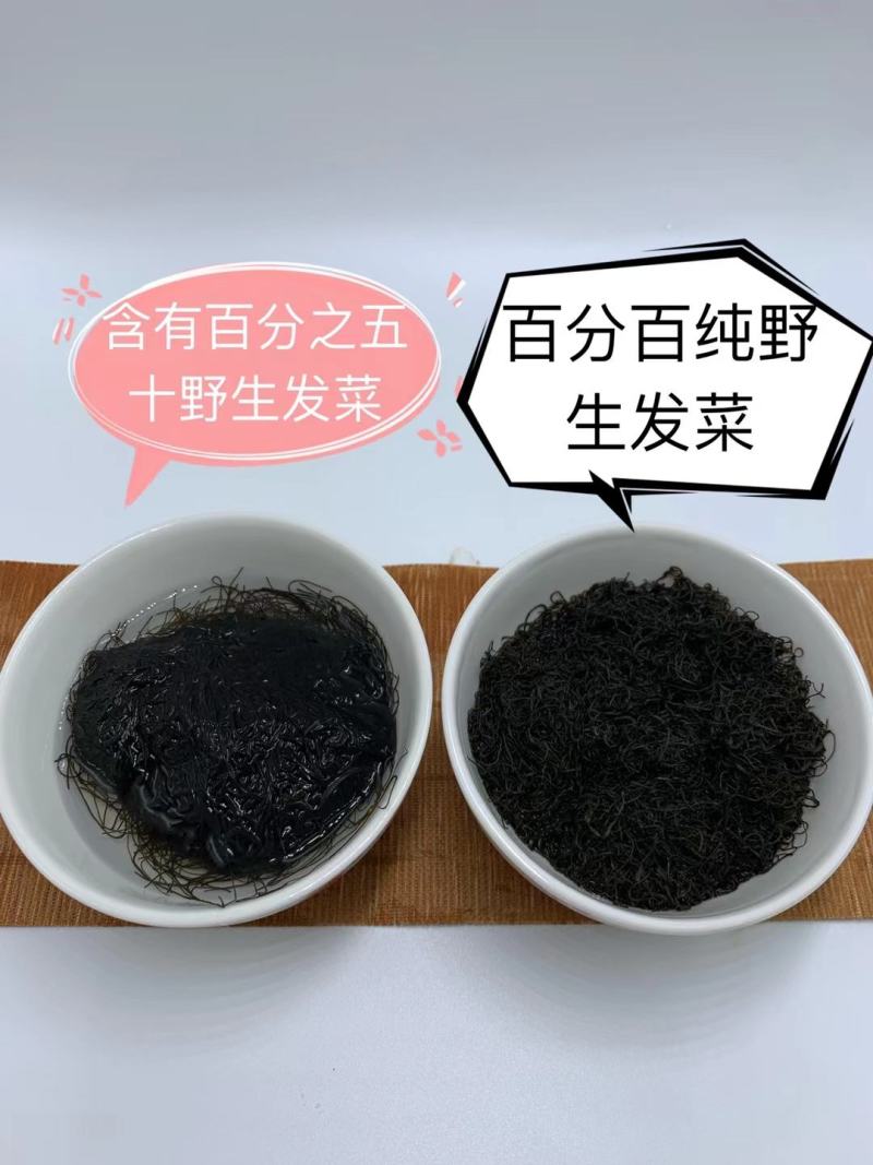 宁夏五宝之一黑宝（发菜