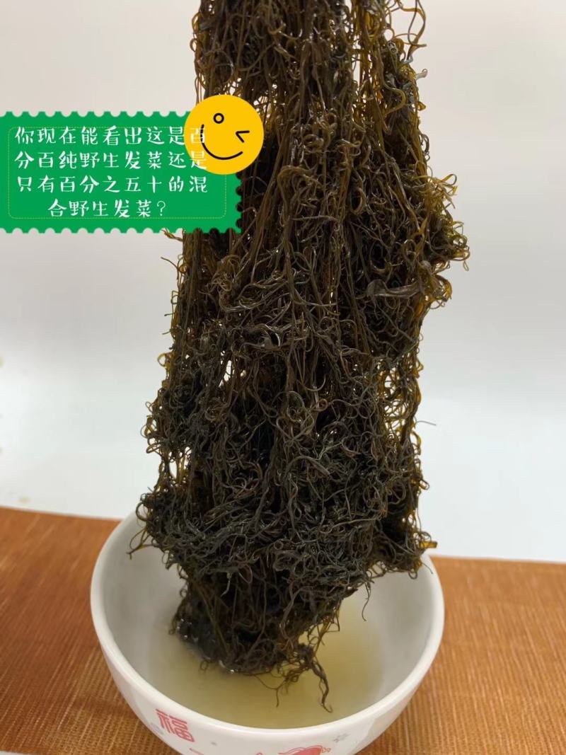 宁夏五宝之一黑宝（发菜