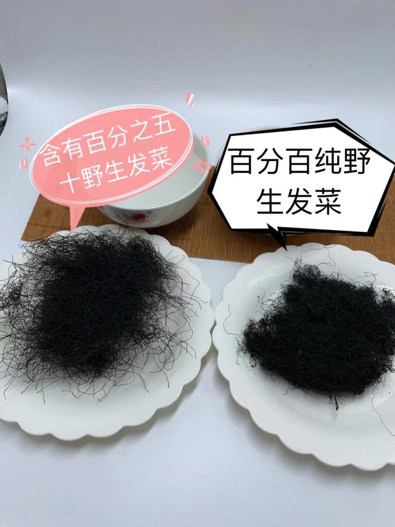 宁夏五宝之一黑宝（发菜
