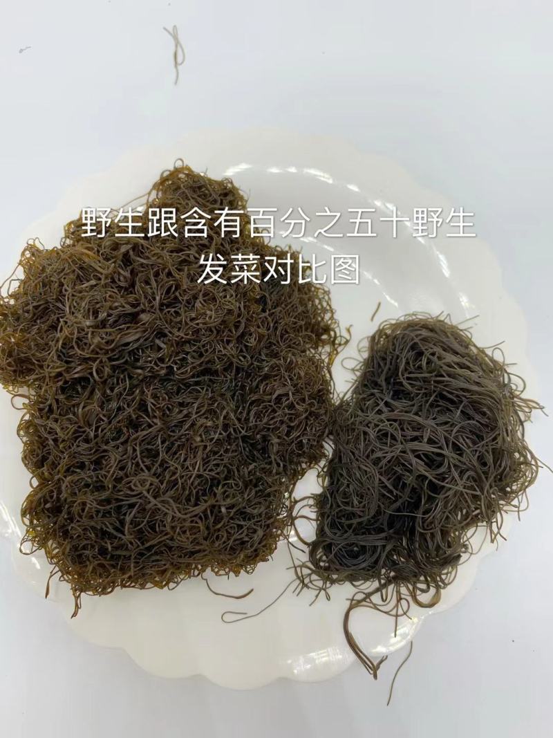 宁夏五宝之一黑宝（发菜