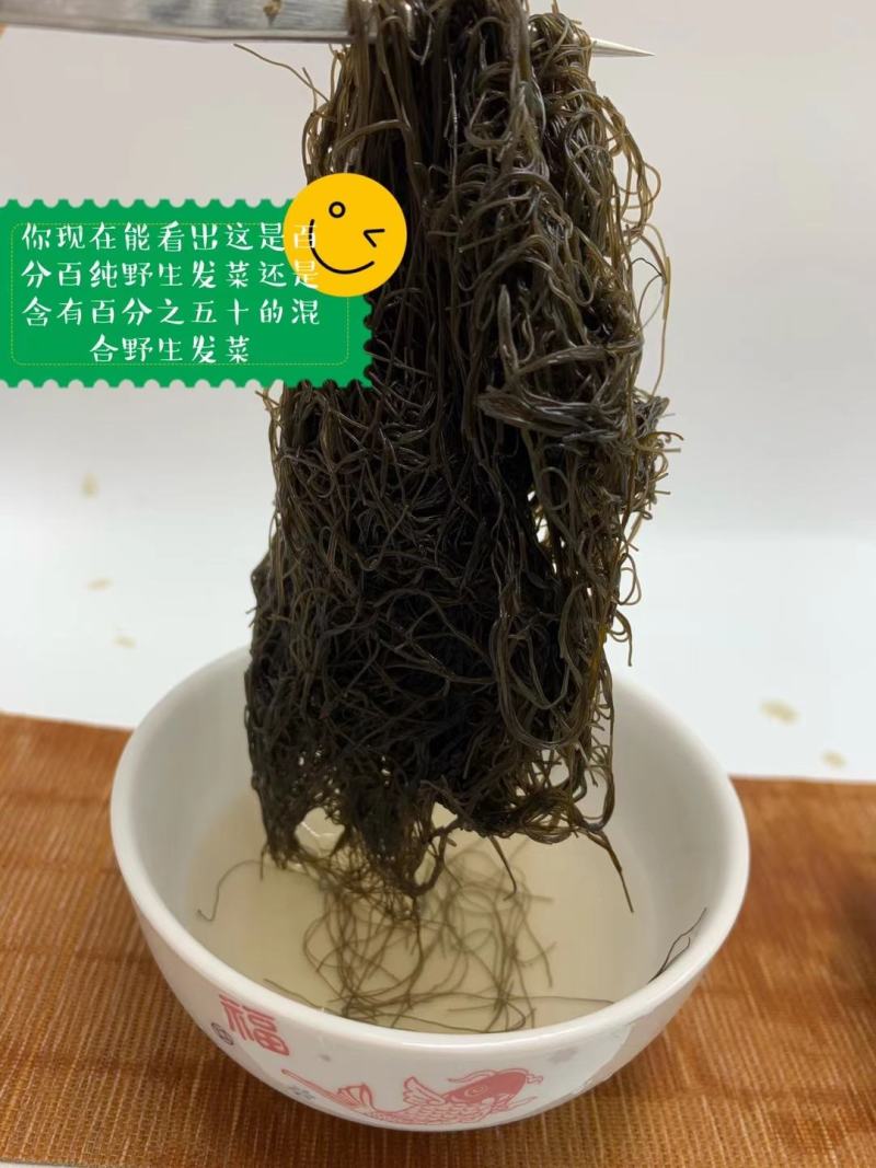 宁夏五宝之一黑宝（发菜