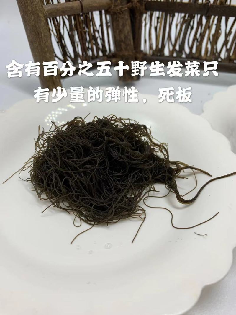 宁夏五宝之一黑宝（发菜
