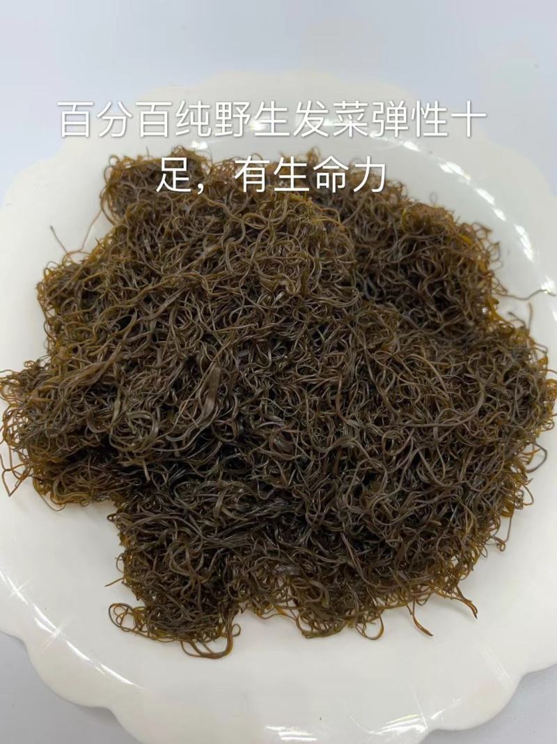 宁夏五宝之一黑宝（发菜