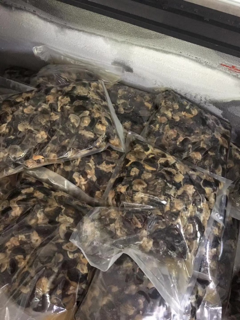 长期出售黑蜗牛肉批发零售，需要的联系我