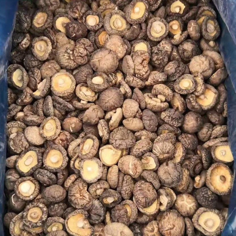 【强烈推荐】泌阳优质干香菇，产地出售欢迎来电咨询