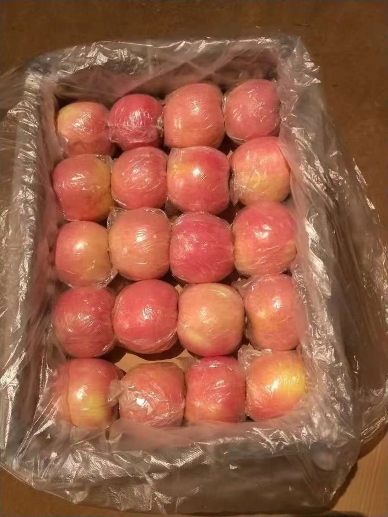红富士苹果，膜带，纸带大量有货质量有保证，诚信经营